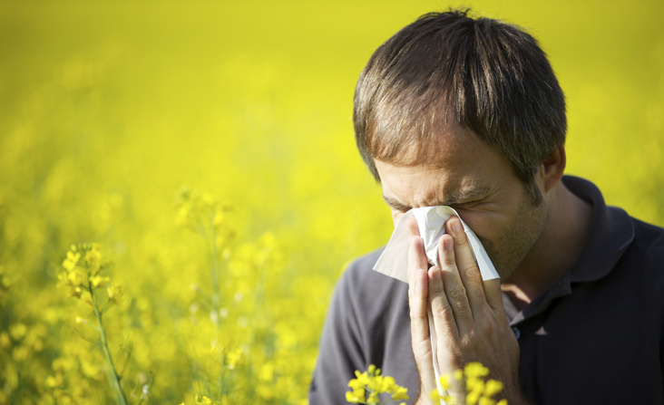 איש מקנח אף