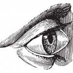 קרטוקונוס: קרנית בצורת חרוט