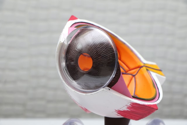 עדשות מגע מיוחדות: מותאמות במיוחד למצבכם האישי